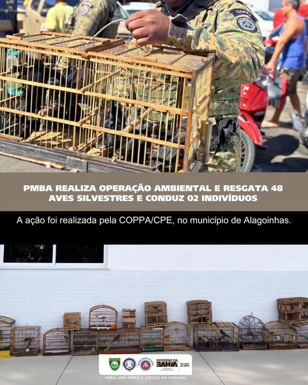 Aves silvestres foram resgatas em Alagoinhas por COPPA-CPE