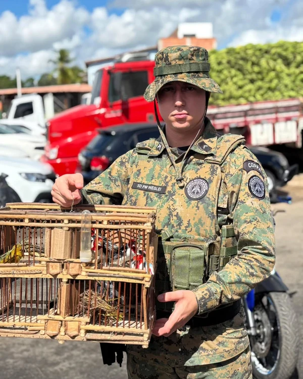 Aves silvestres foram resgatas em Alagoinhas por COPPA-CPE