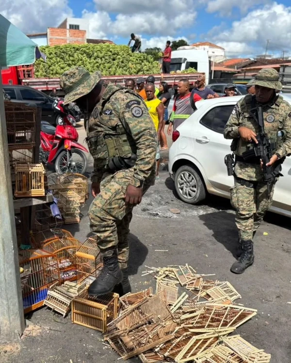 Aves silvestres foram resgatas em Alagoinhas por COPPA-CPE