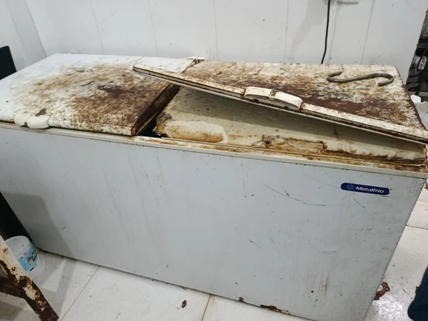 Baratas no balcão e insetos no peito de frango: açougue é fechado por irregularidades por Polícia Civil de Cuiabá