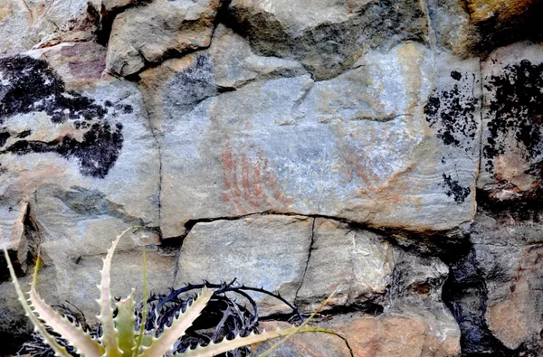 Descoberta de aluno do ensino médio revela sítio arqueológico  por  IF Baiano/Divulgação