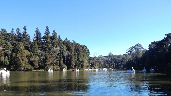 Em janeiro de 2025, Gramado ficou em segundo lugar entre os melhores destinos da América do Sul no Travellers’ Choice 2025, prêmio promovido pelo Tripadvisor por TheWikiGuardian/Wikimedia Commons