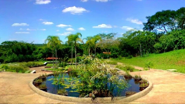 Jardim Botânico de Bauru reúne paisagismo, trilhas e áreas de preservação ambiental no município por @thedeiwz / Wikimedia Commons
