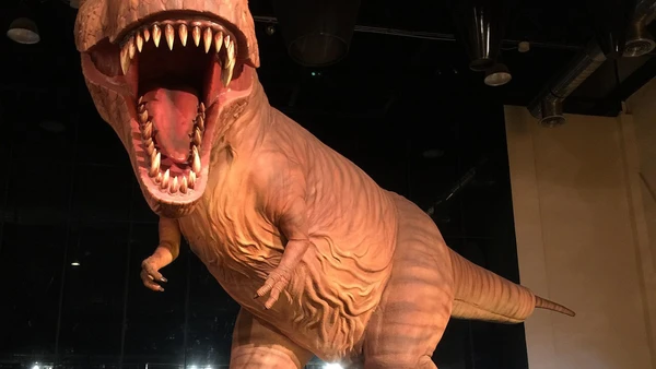 Sirindhorn Museum, em Kalasin, abriga parte do acervo paleontológico ligado aos dinossauros da Tailândi por UT/Wikimedia Commons