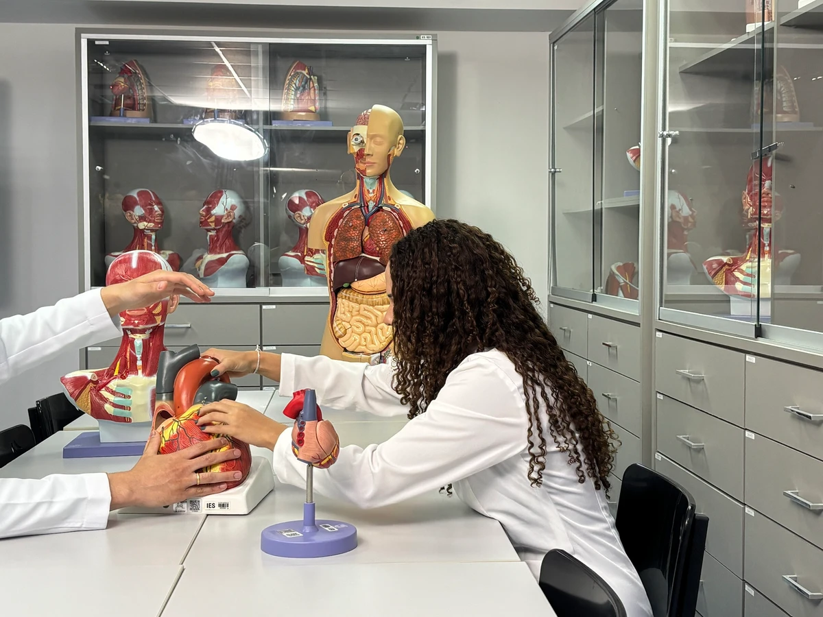 Laboratório Morfofuncional por  Acervo institucional