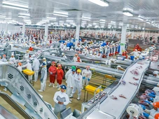 Imagem - Gigante do setor de alimentos abre megafábrica capaz de produzir 91 ovos por minuto