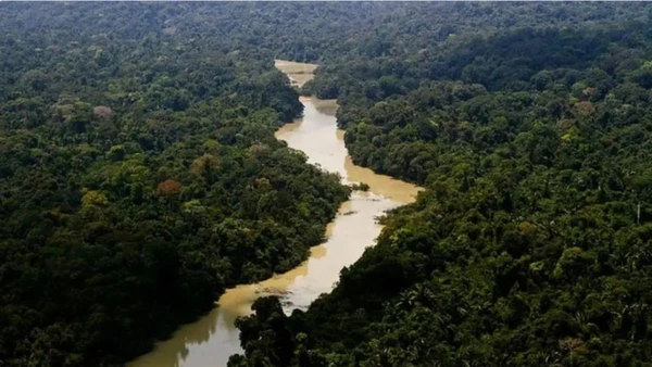 Rios e calhas da Amazônia Legal servem como rotas logísticas estratégicas monitoradas pela nova força-tarefa federal. Leonardo Milano/ICMBio por ICMBIO