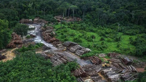 Exploração predatória e ilegal de recursos naturais em áreas protegidas gera prejuízos ambientais e financeiros milionários. Reprodução/Ibama por ICMBIO