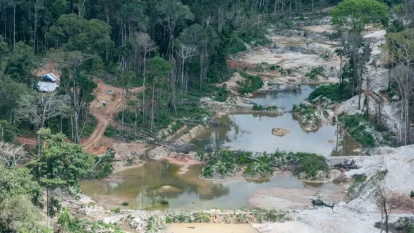  Balanço oficial aponta que invasões provocadas pelo garimpo ilegal e disputas territoriais geraram mais de mil episódios de violência em 2024. Vinícius Mendonça/Ibama por ICMBIO