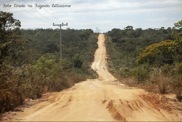 Leitíssimo  por Reprodução
