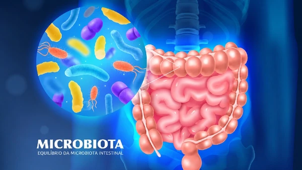 O etanol age sobre o frágil equilibrio da comunidade de micro-organismos que vive no nosso intestino