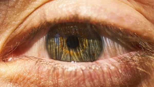 O verde dos olhos surge de uma combinação rara entre pigmentos, genética e dispersão da luz na íris por Freepik