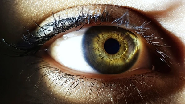 Olhos verdes aparecem quando a íris reúne uma quantidade intermediária de melanina e reflete a luz de modo particular por Freepik