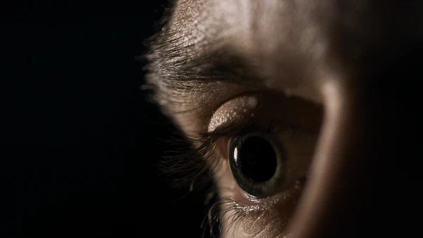 Quanto maior a presença de melanina na íris, maior a tendência a tons mais escuros nos olhos por Freepik