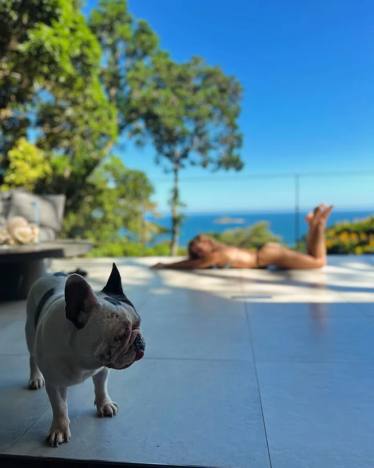 Danielle Winits vive em mansão no Joá com vista para o mar e foco em sustentabilidade por Reprodução