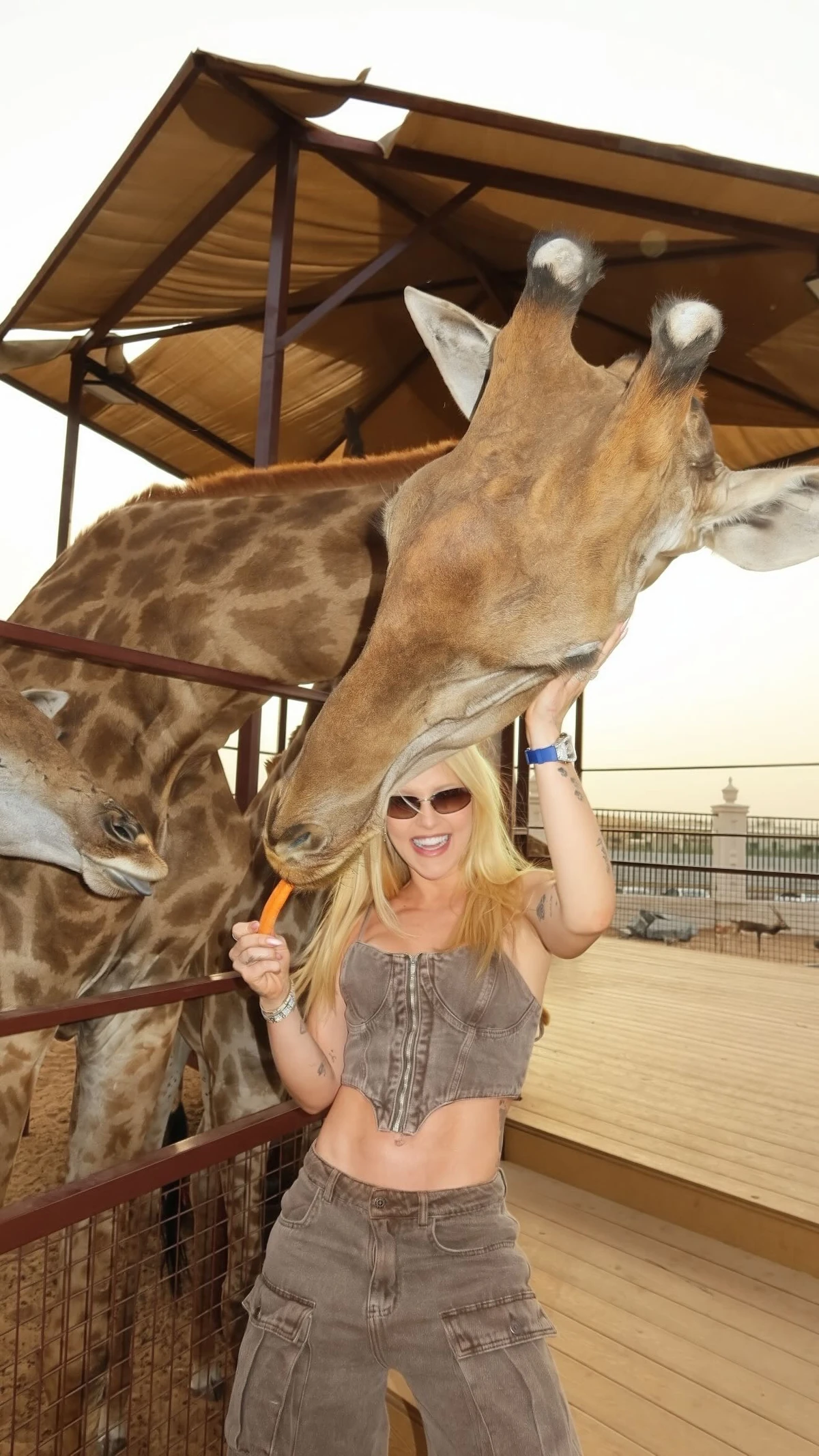 Virginia no zoológico em Dubai por Reprodução/Instagram