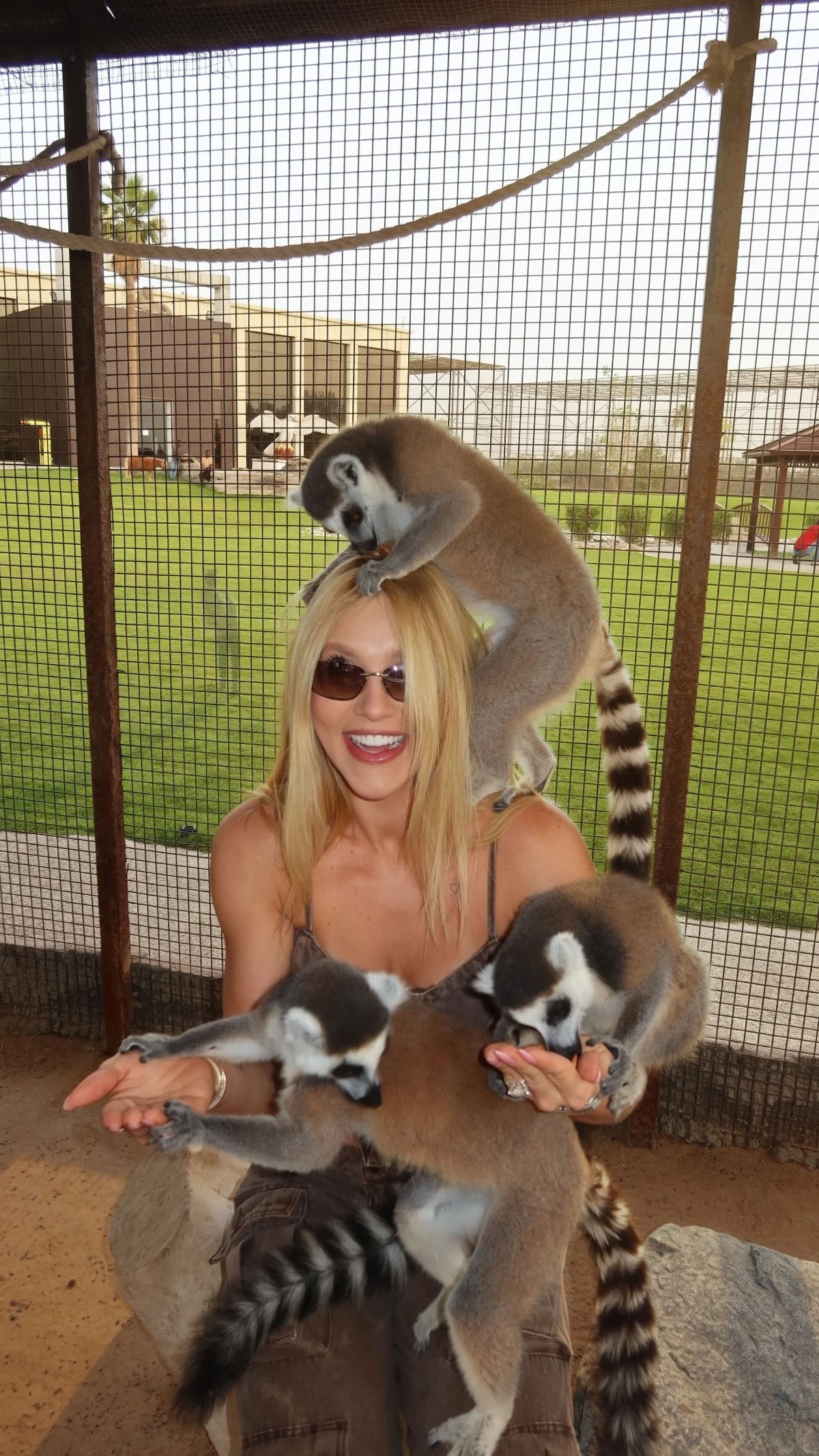 Virginia no zoológico em Dubai por Reprodução/Instagram