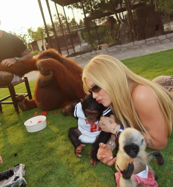 Virginia no zoológico em Dubai por Reprodução/Instagram