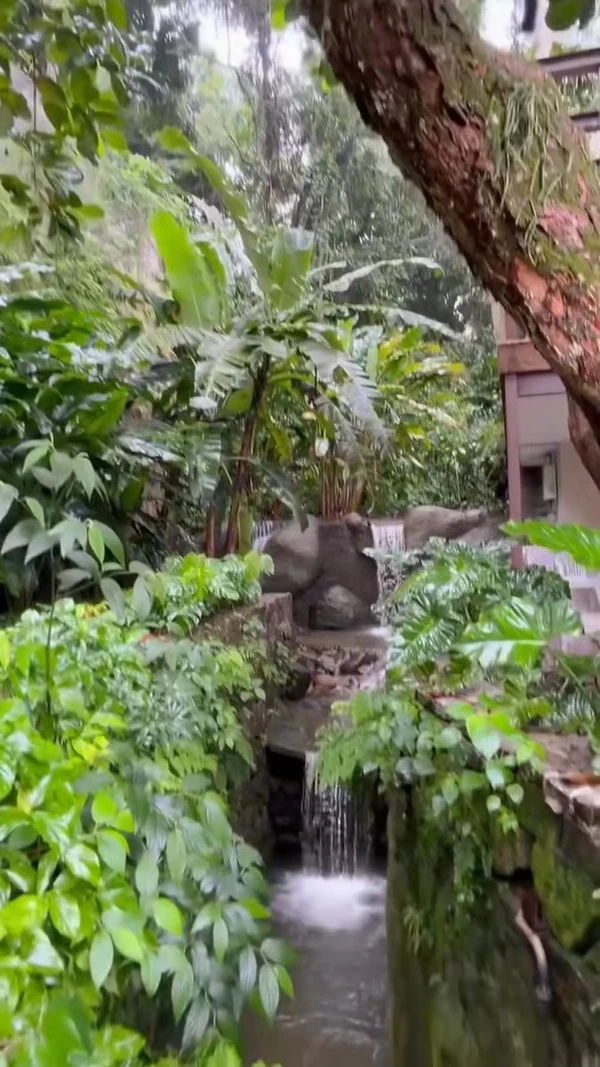 Casa de campo de Maitê Proença por Reprodução