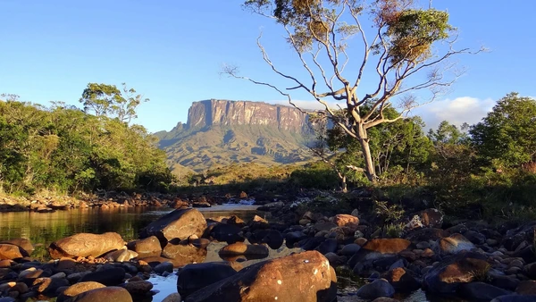 Cume do Monte Roraima integra o parque nacional localizado em Uiramutã, na região de fronteira por Erick Caldas Xavier/Wikimedia Commons