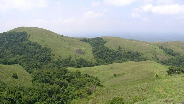 Os corredores naturais são responsáveis pelo fluxo de espécies entre as regiões silvestres, essenciais para a troca genética e manutenção dos ecossistemas