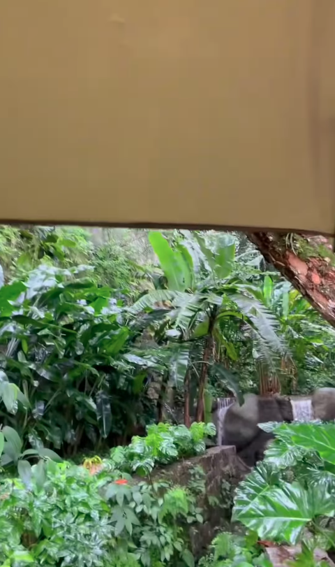 Maitê Proença vive no campo por Reprodução | Instagram