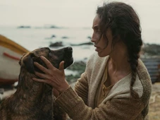 Imagem - Com Selton Mello no elenco, cadela do filme 'La Perra' ganha o prêmio no Festival de Cannes