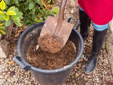 Imagem - Terra velha de vaso pode matar sua próxima planta se você ignorar esses sinais que ela está dando