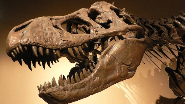 Apesar do sufixo sauro/saurus ser tradicionalmente usado para se referir aos dinossauros, ele significa lagarto e é genérico para várias espécies de répteis antigos
