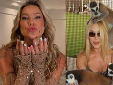 Imagem - Luana Piovani detona Virginia após polêmica em zoológico: 'Desgraça em forma de bunda'