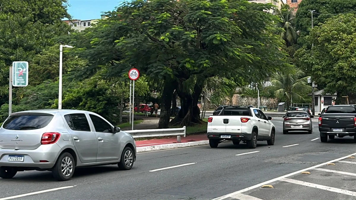 Arrastões assustam frequentadores do Dique do Tororó  por Bruno Wendel/CORREIO