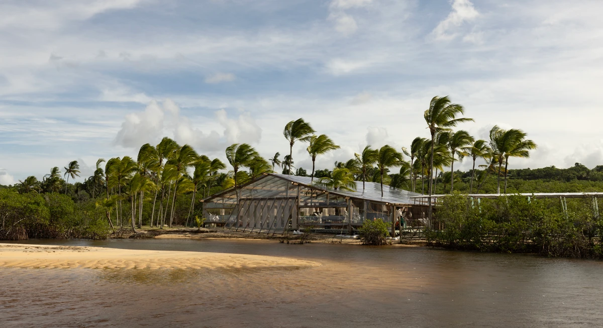 Marina Goldfarb transforma Trancoso em cenário de casamento milionário com referências baianas por Divulgação
