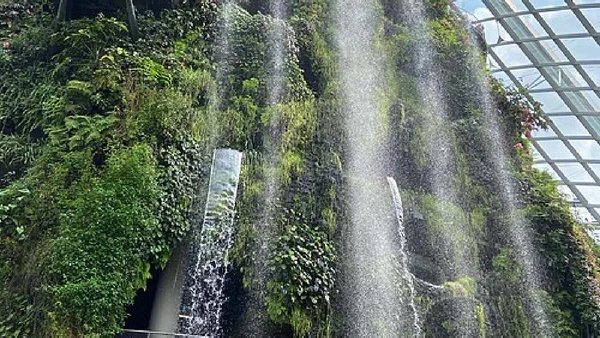 Cloud Forest reúne jardim vertical e queda d’água dentro do Gardens by the Bay, em Singapura por Kuroczynski / Wikimedia Commons