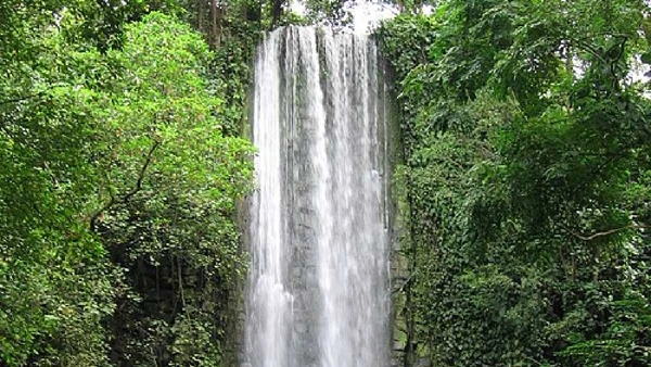 Jurong Falls fica dentro do antigo Jurong Bird Park, em Singapura por Sengkang / Wikimedia Commons