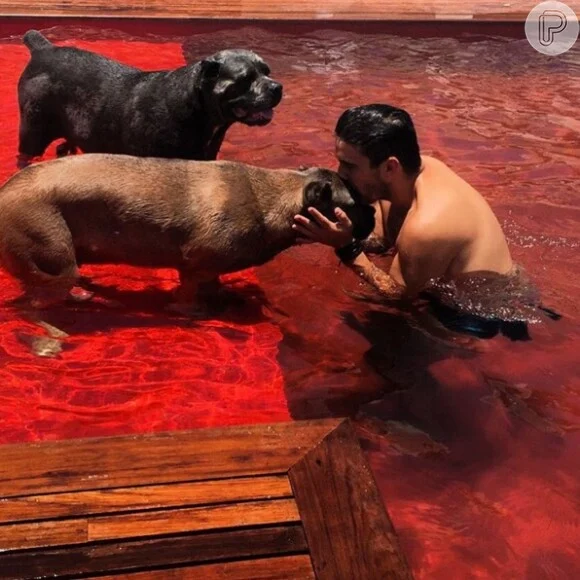 Piscina vermelha e área gourmet chamam atenção na cobertura luxuosa de André Marques no Rio por Reprodução