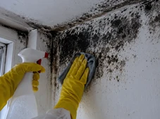 Imagem - Adeus, mofo: mistura simples ajuda a remover manchas escuras da parede