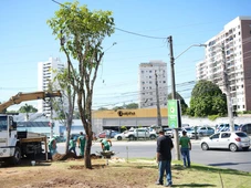Imagem - Salvador terá feira agroecológica, microfloresta e ações ambientais em vários bairros