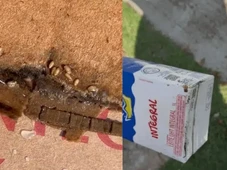 Imagem - Cliente encontra larvas em caixas de leite, e supermercado é alvo de fiscalização