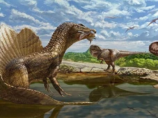 Imagem - Pesquisadores descobrem por que os Tiranossauros Rex, maiores predadores da Terra, tinham bracinhos curtos e eram tão letais