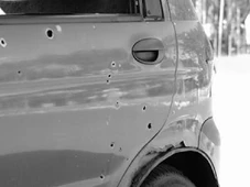 Imagem - Cachorro atira em mulher com espingarda dentro de carro e surpreende policiais
