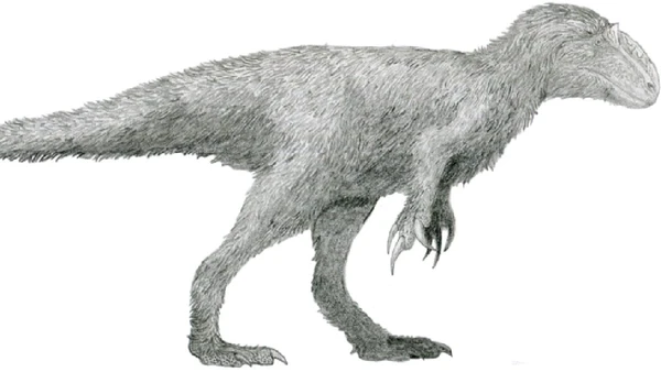A descoberta de penas em predadores da espécie Yutyrannus huali, reacendeu o debate sobre a presença delas nos tiranossauros por Tomopteryx / Wikimedia Commons