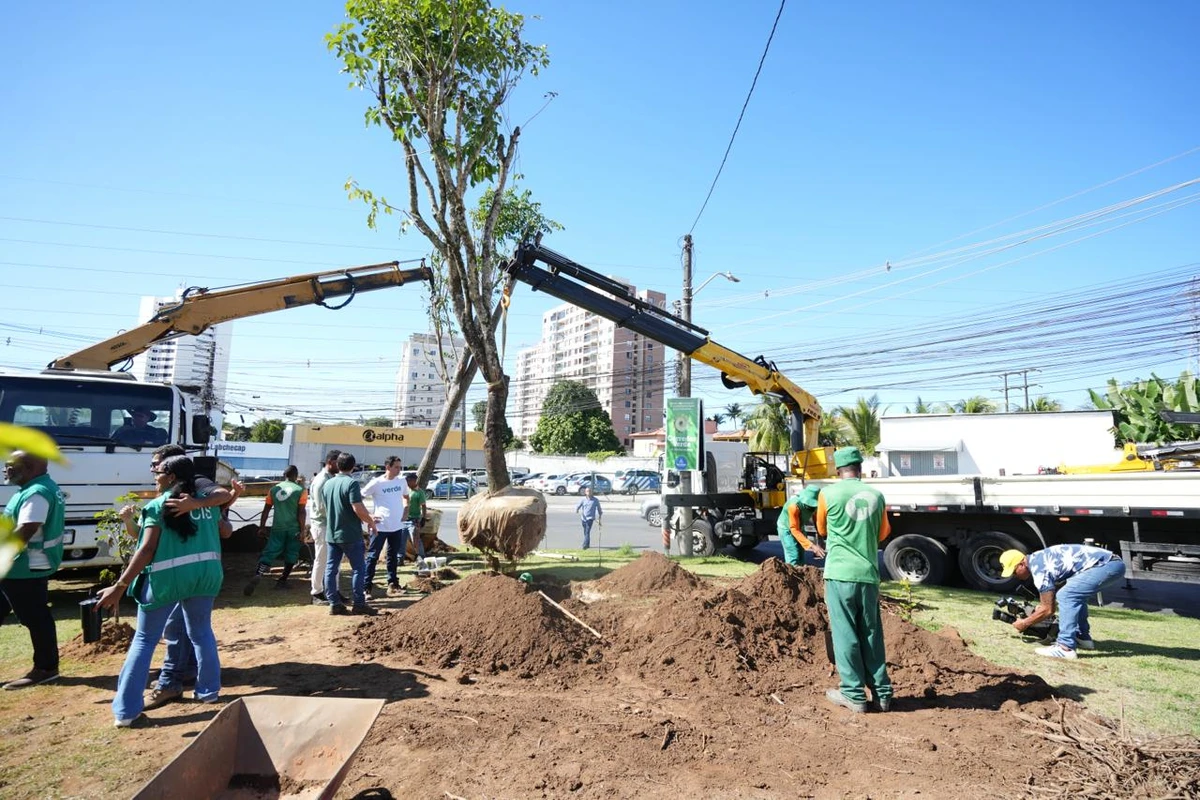 Meta da gestão municipal é ter sete corredores verdes na cidade até 2028 por Betto Jr. / Secom PMS