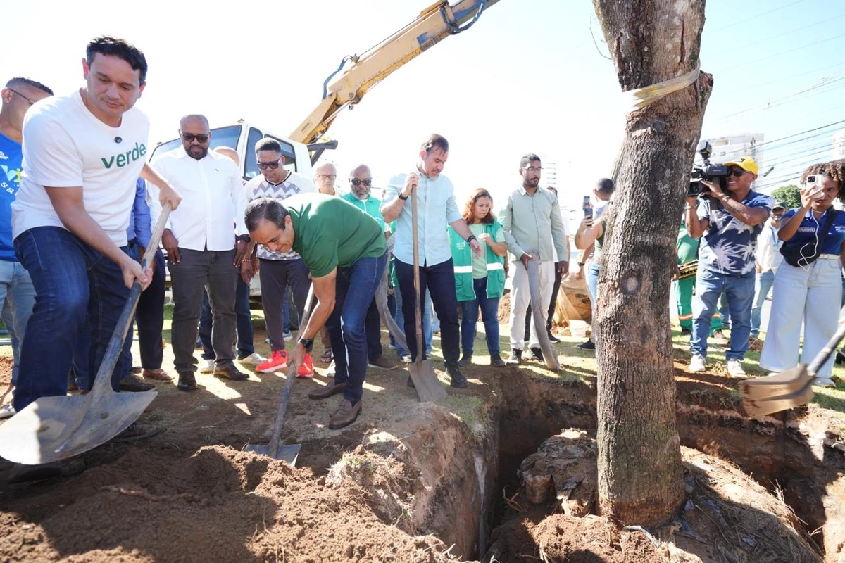 Silveira Martins: trecho de 1,5 km entre Uneb e o Largo do Saboeiro recebe 112 árvores por Betto Jr. / Secom PMS