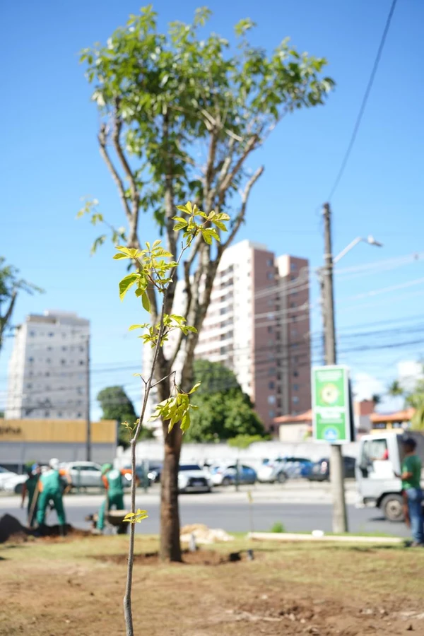Investimento de R$ 1,5 milhão para toda a Silveira Martins por Betto Jr. / Secom PMS