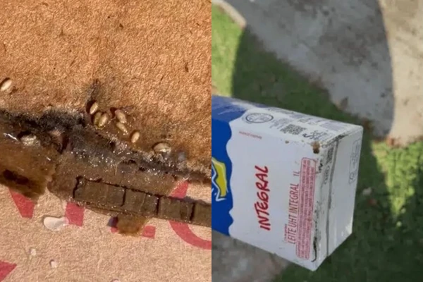 Denúncia de leite com larvas em supermercado atacadista