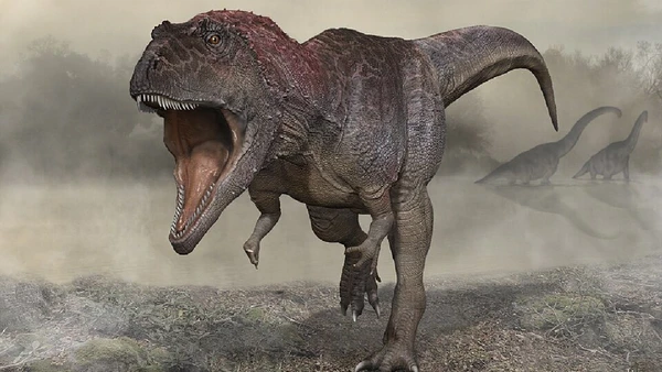 Dessa maneira, o estudo com o Meraxes gigas parece apontar para o mesmo caminho do estudo recente de sobreposição na função das mandíbulas