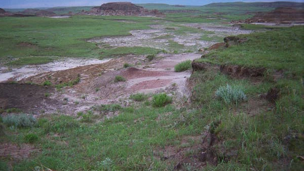 Formação Hell Creek preserva fósseis do fim do Cretáceo, como os próprios tiranossauros por Circa24 / Wikimedia Commons
