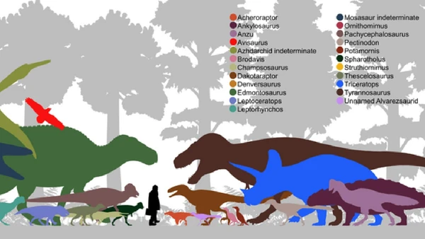 Ilustração reúne animais do ecossistema em que o T. rex ocupava o topo da cadeia alimentar por PaleoNeolitic / Wikimedia Commons