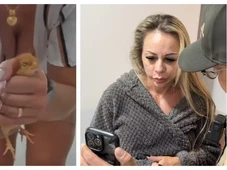Imagem - Empresária é presa suspeita de torturar e matar animais esmagando-os para vender vídeos na internet por até 50 euros
