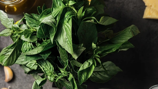 A fumaça do louro queimado espalha um aroma marcante e transforma uma folha comum da cozinha em ritual de bem-estar